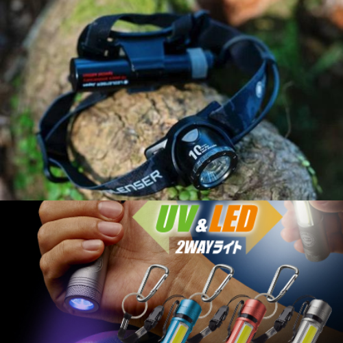 Head Torch | UV Light – Proshop TST