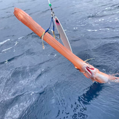 Offshore Jigging - Our Range