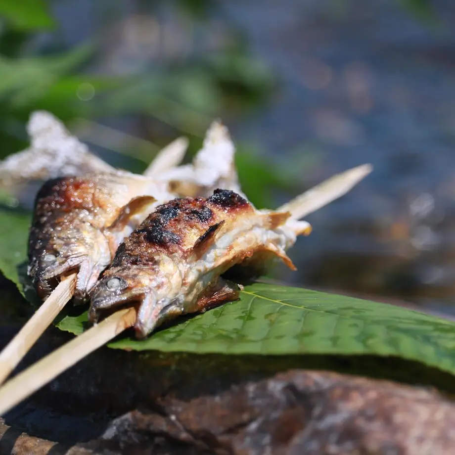 Tsurimusha Radiant Heat Grill Plate