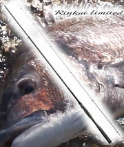 SHIMANO 22 RINKAI LIMITED