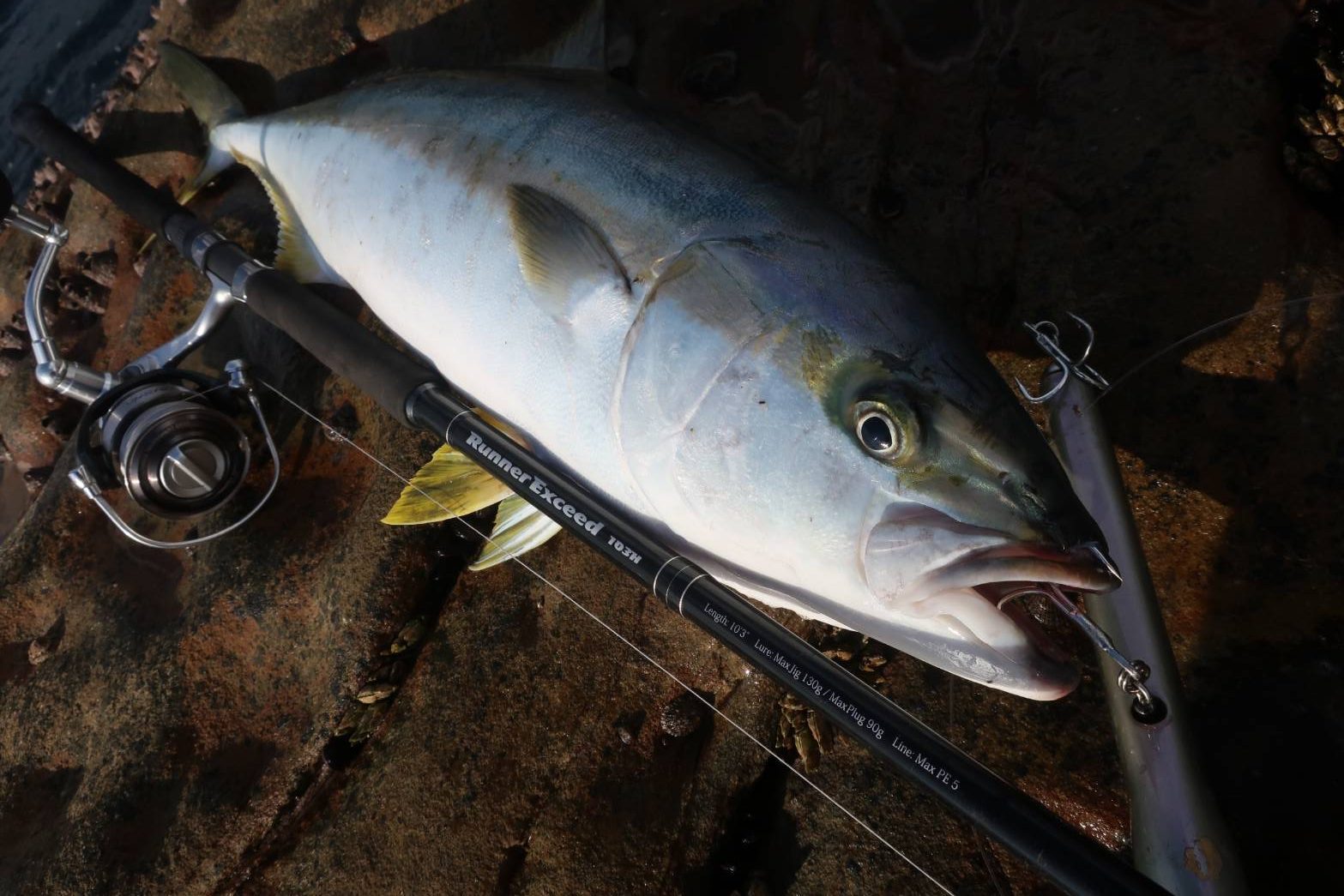 RIPPLE FISHER RUNNER EXCEED 103H