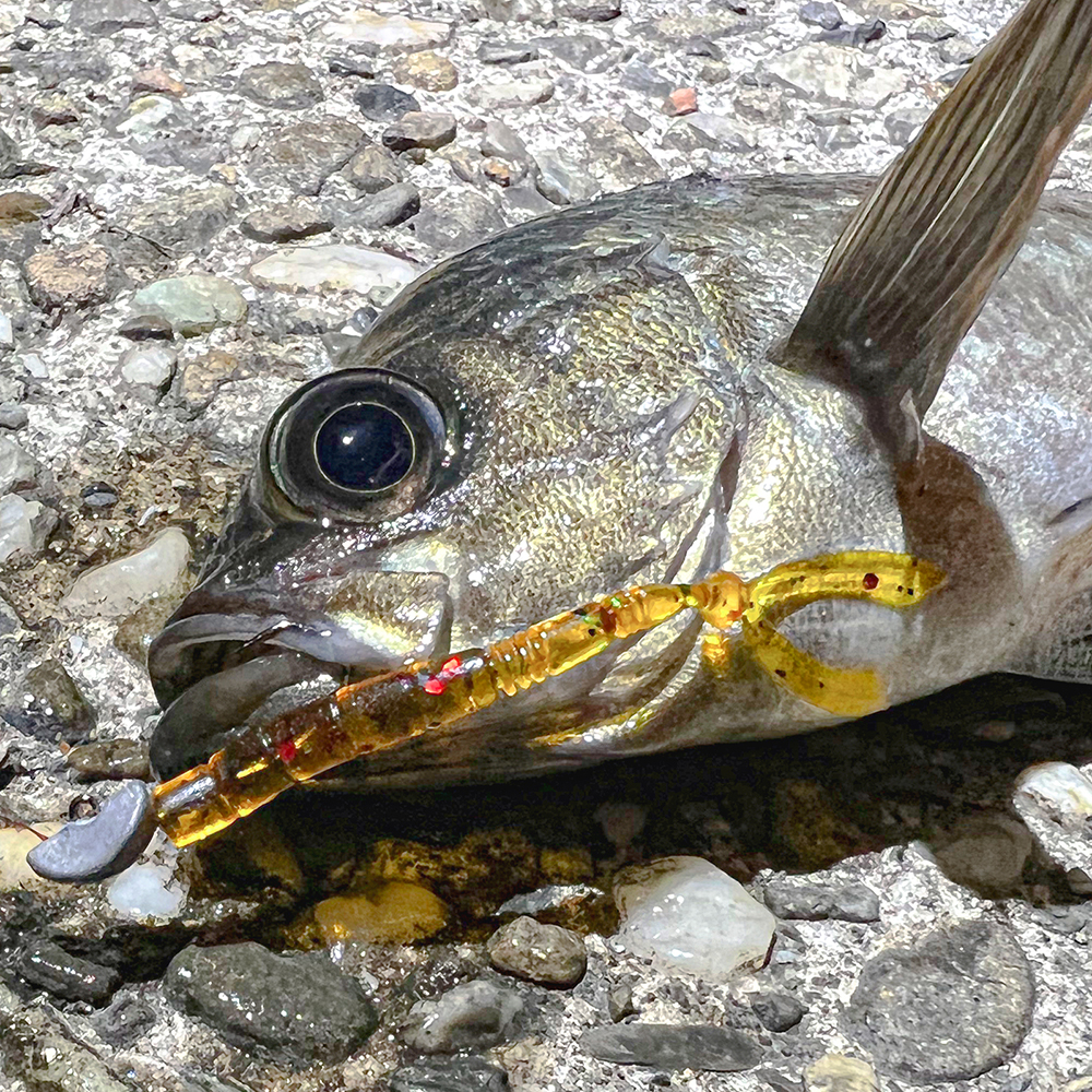 DRESS RABBIT SOFT LURE 2.3 INCHES