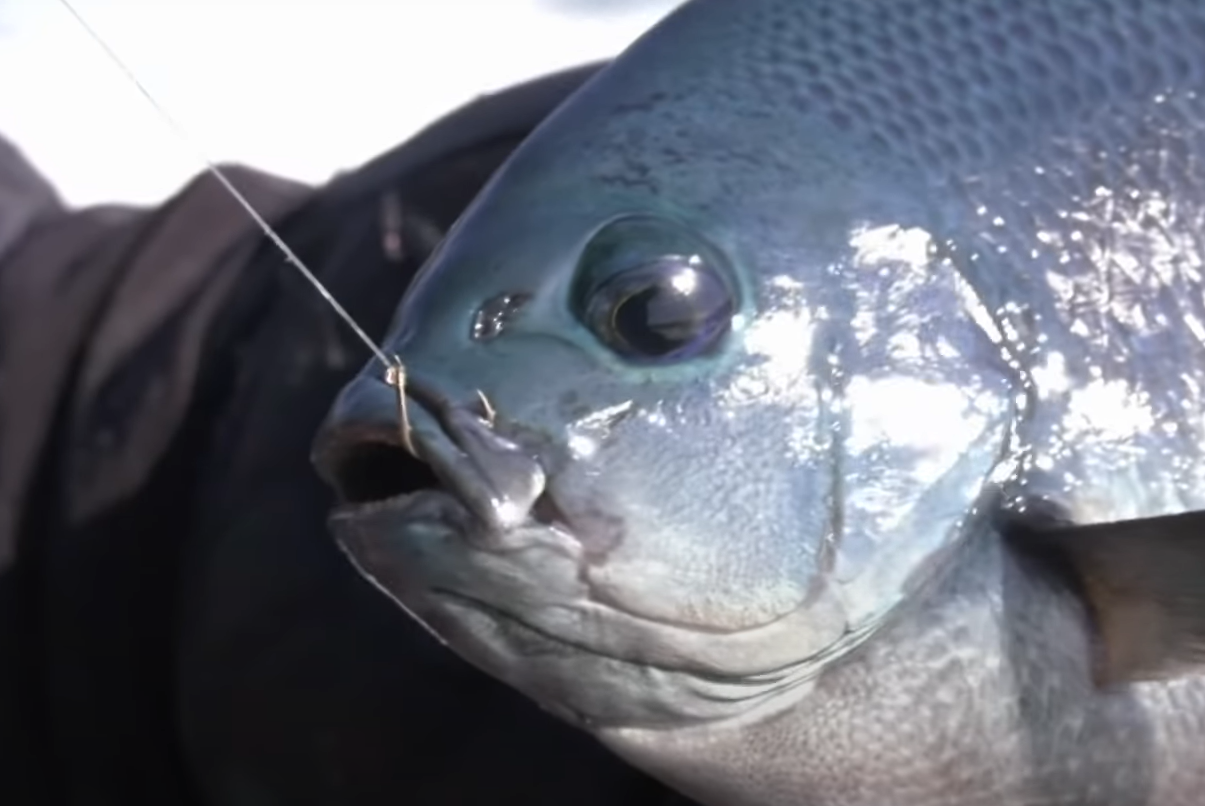 OWNER THE ROCK ISO FISHING HOOK