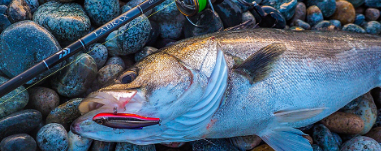 DAIWA LABRAX AGS Rock Shoot Fishing Rod