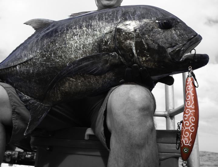 SKYGREY Koinobori Stickbait 200F-95 - X'mas Gift Ideas