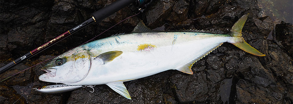 Daiwa OverThere Grande (Shore Jigging Model) - On Sale