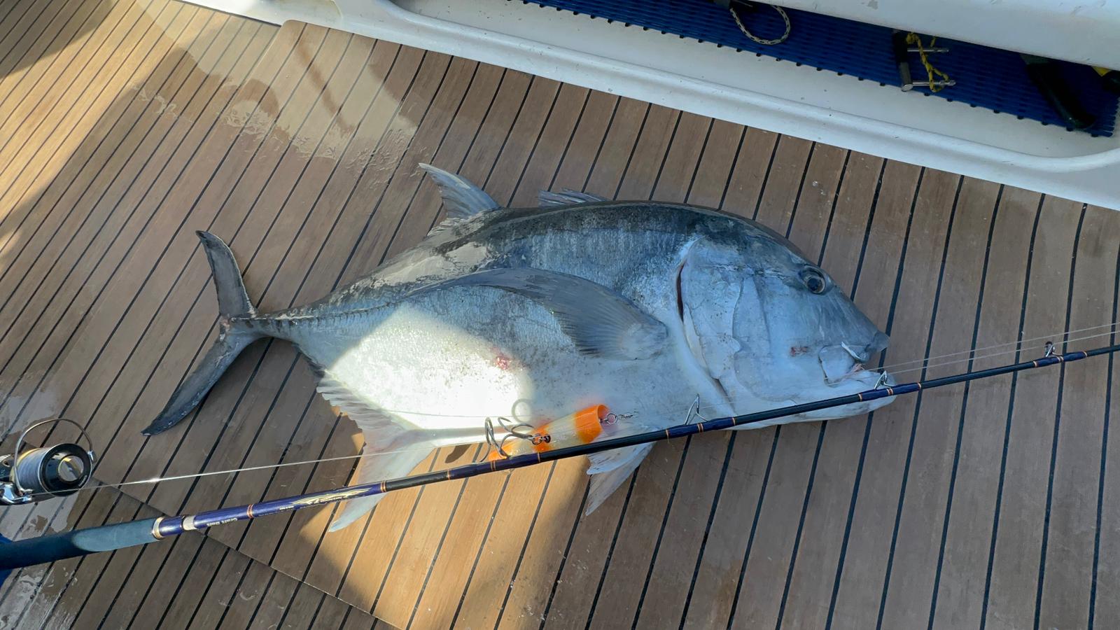 CRAFT BAIT Kuroshio Riders 79H Popping Edition