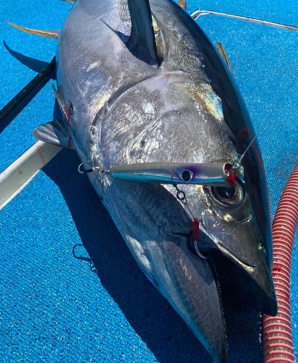 CB ONE Bazoo Slim 180F