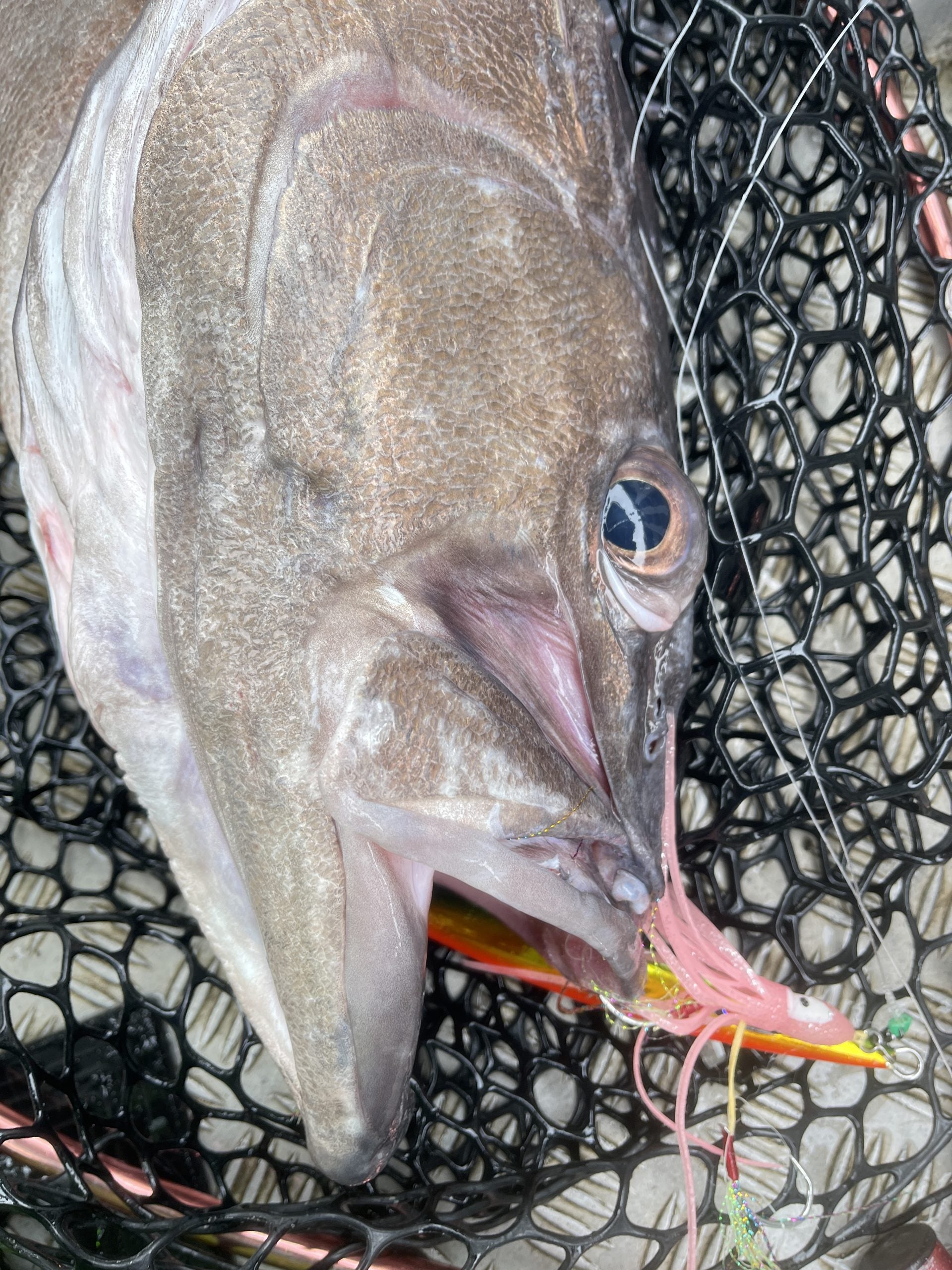 TST Shop Custom Jigging Assist Hooks