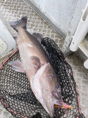 TST Shop Custom Jigging Assist Hooks