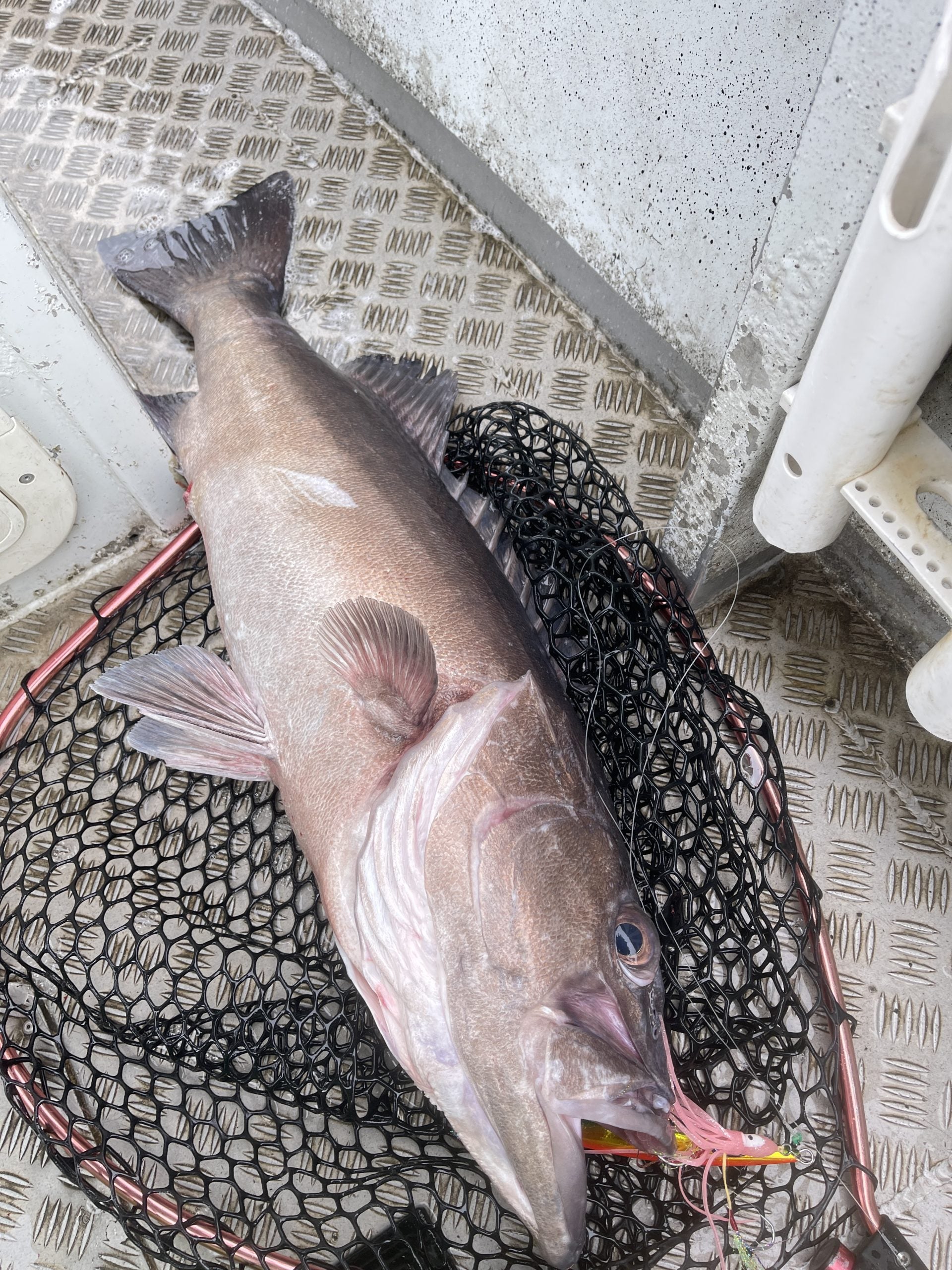 TST Shop Custom Jigging Assist Hooks