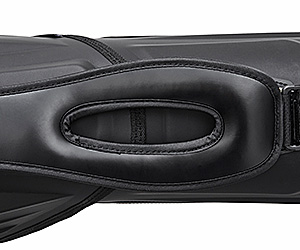 DAIWA 2023 Tournament Light Rod Case (c)