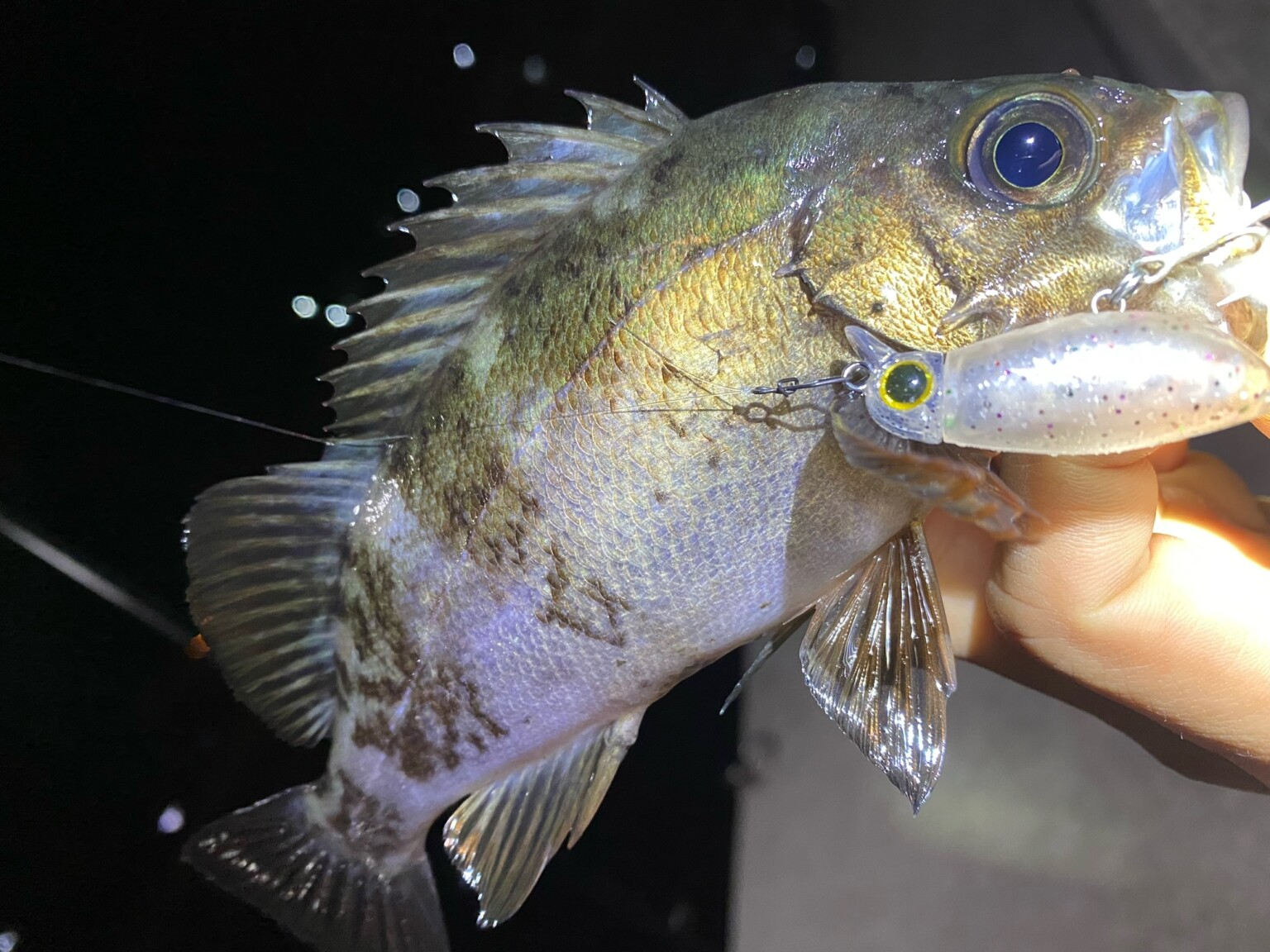 JACKALL MUTEBALL MINNOW 38F HYBRID MEBARING PLUG