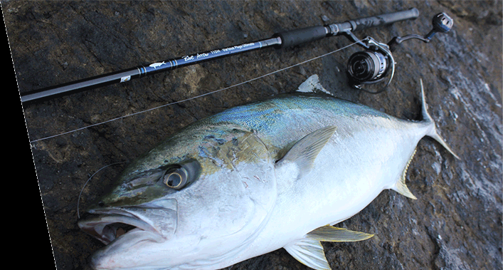 AIMS Black Arrow Unlimited 110H