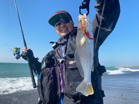 MEGABASS MAKIPPA MAKINOTANE Skirt Jig 20g