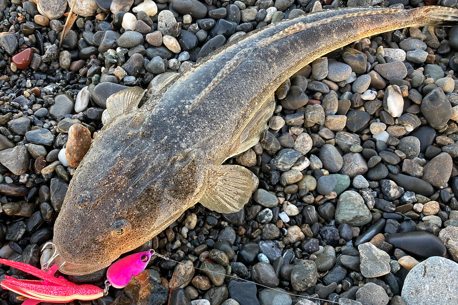 MEGABASS MAKIPPA MAKINOTANE Skirt Jig 20g