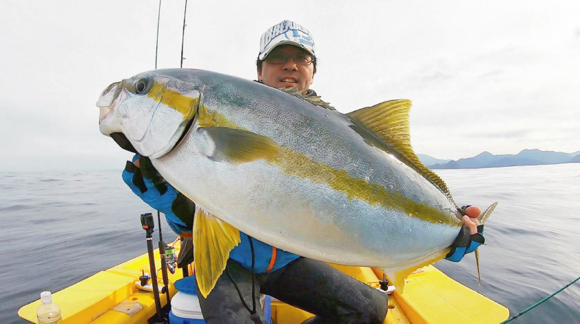 BREADEN CathyMersey VIB Micro Bait Pattern