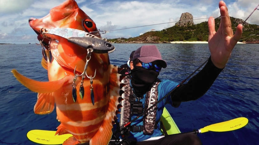 BREADEN CathyMersey VIB Micro Bait Pattern