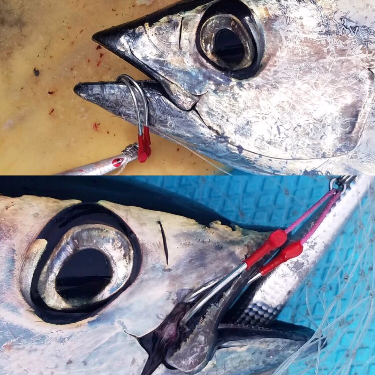 SUTEKI TWIN ASSIST MABOROSHI JIGGING HOOKS MTW-5