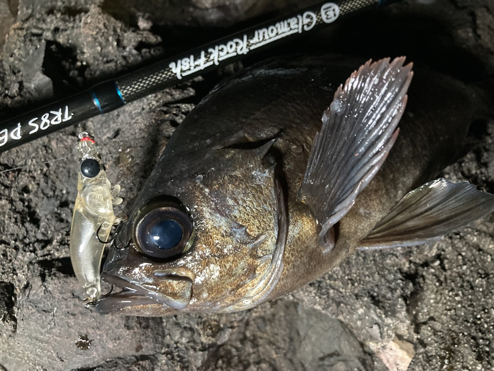 BREADEN SHRIMP WALK LURE