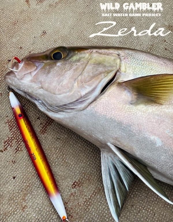 WILD GAMBLER ZERDA JIGS 300g/400g