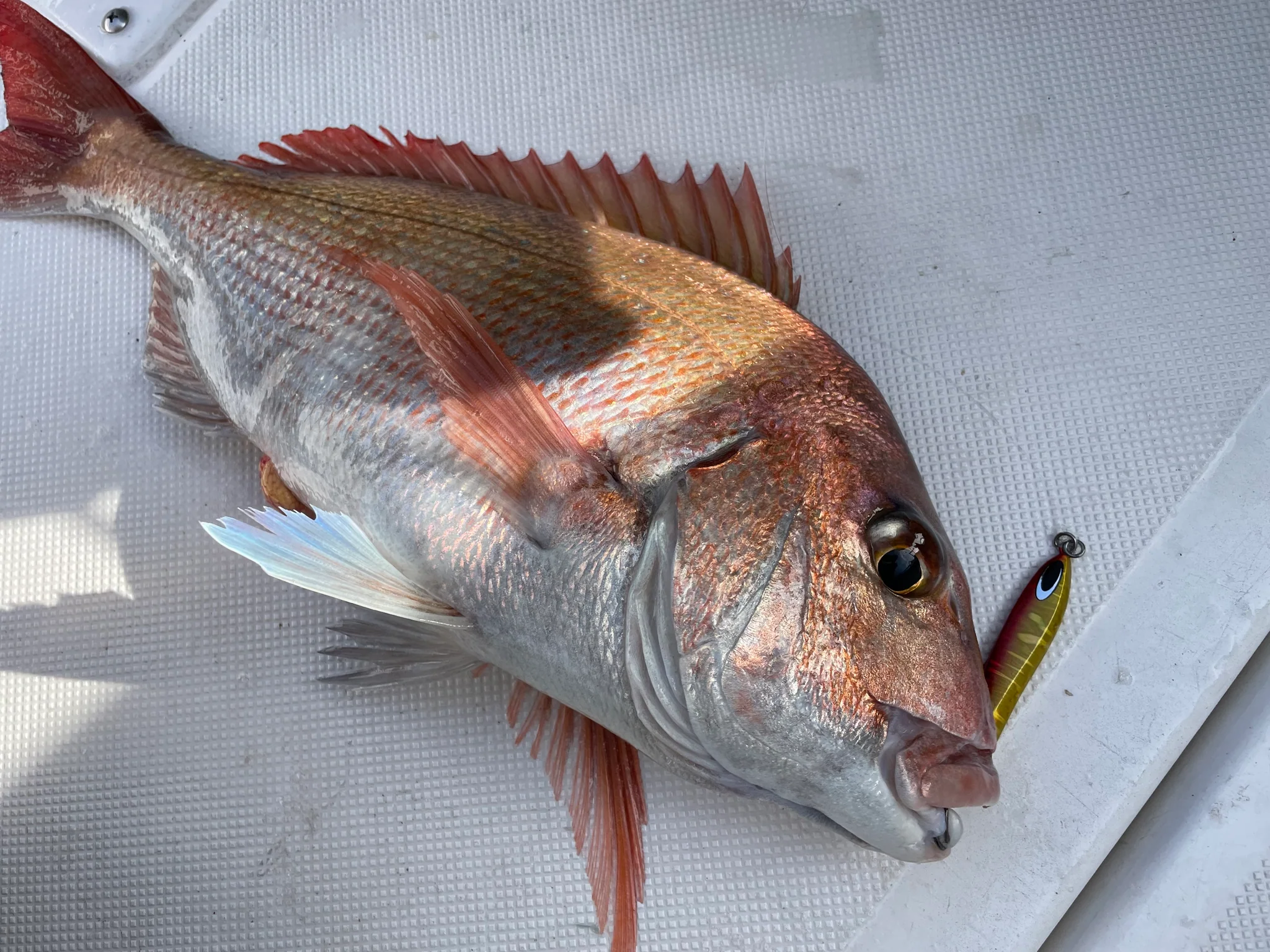 NATURE BOYS TG RIDER 60g/80g