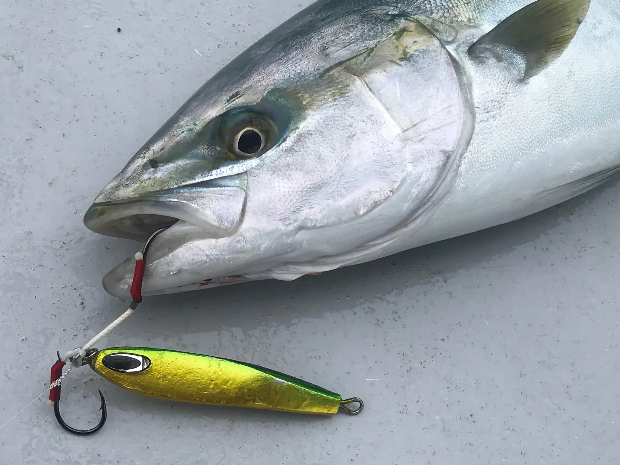 NATURE BOYS TG RIDER 60g/80g