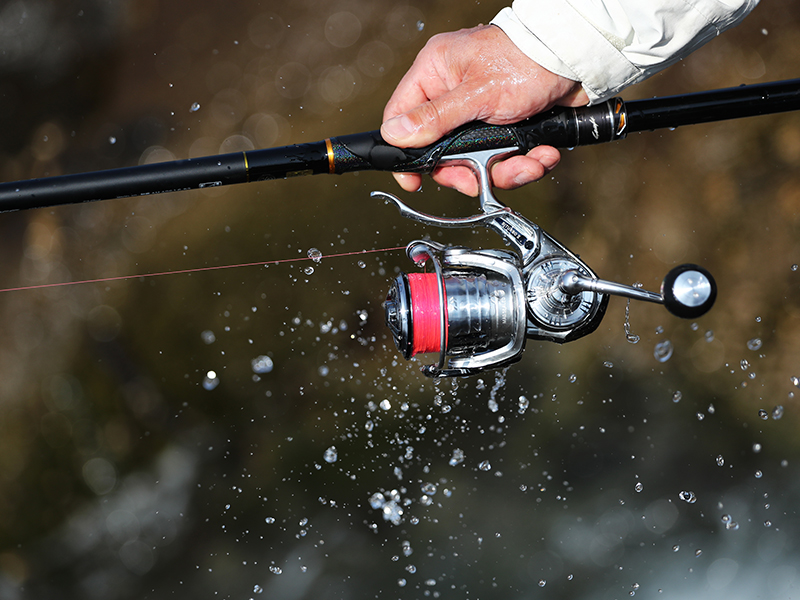 DAIWA 2024 IMPULT LBD REEL