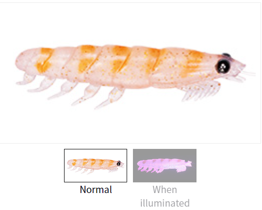 Daiwa Real Krill Worm Tough LL and 3L