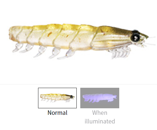 Daiwa Real Krill Worm Tough LL and 3L