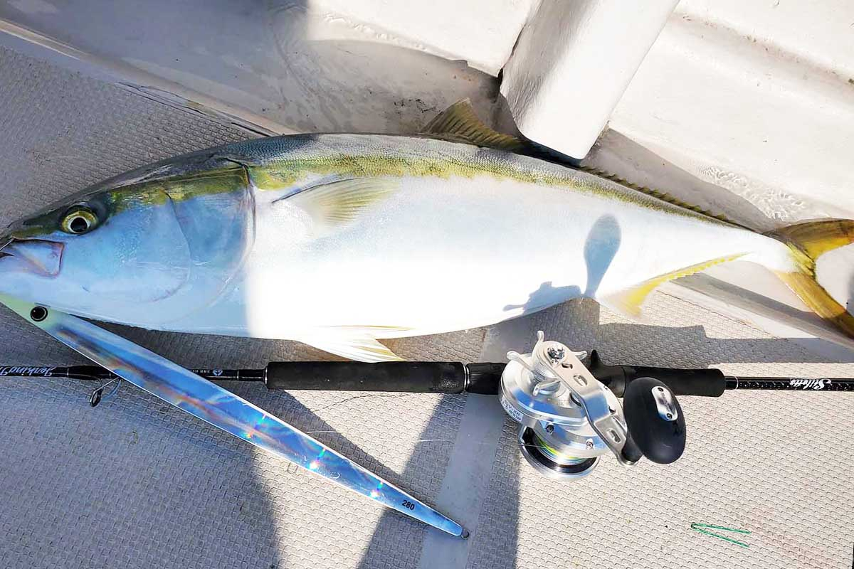 HOTS 3RD JERKING MASTER JIGGING ROD