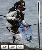 DAIWA 24 Tournament Landing Pole