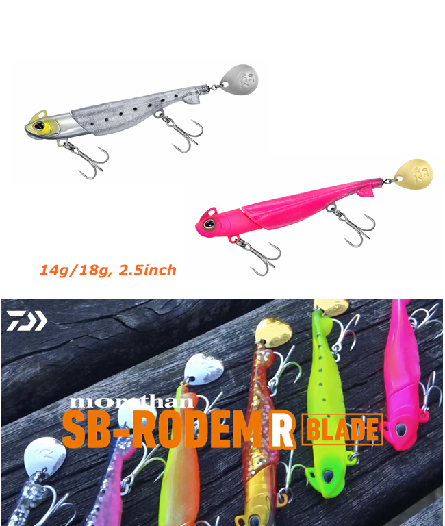 Daiwa Morethan SB Rodem R Blade