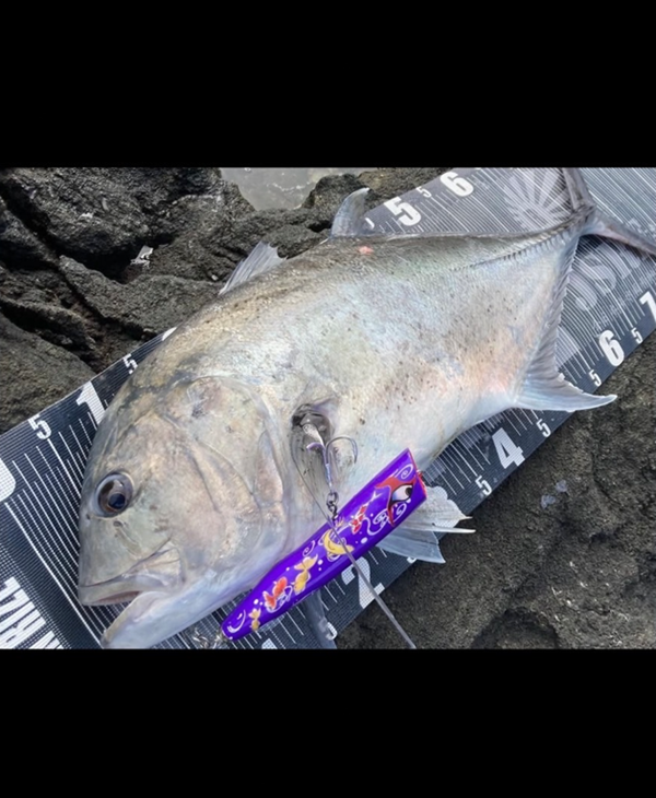 PARADIGM SHIFT Kabuki 歌舞伎 Swim Popper 195F