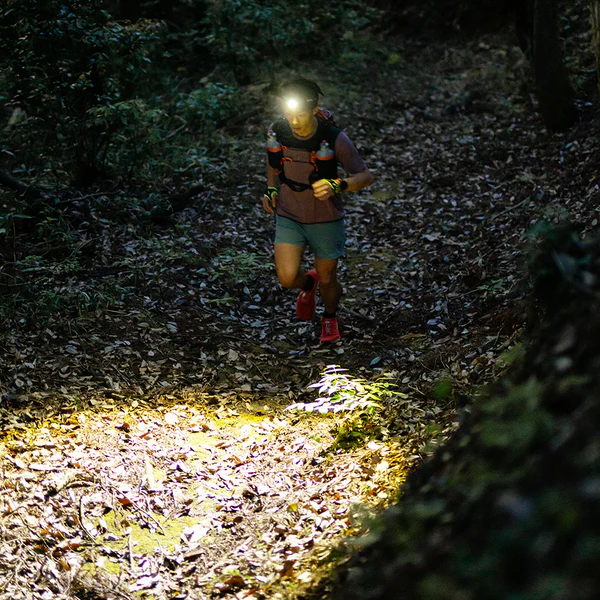 LED LENSER H8R JAPAN LIMITED EDITION