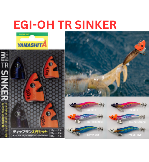 YAMASHITA Egi-oh TR Sinker Beginner's Set – Proshop TST
