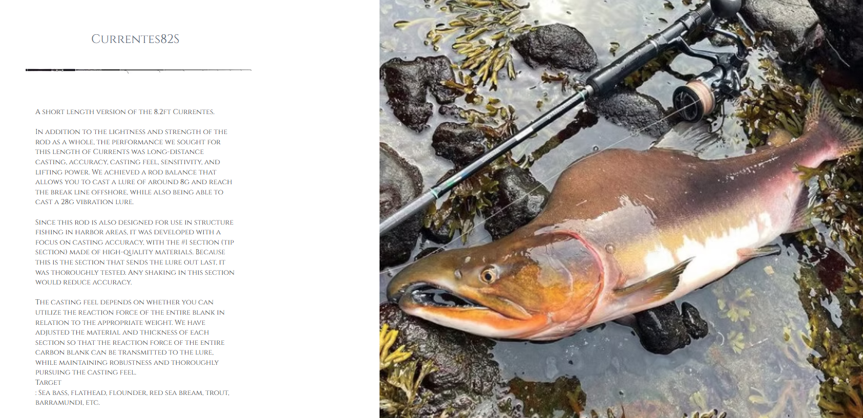 TRANSCENDENCE CURRENTES 82/98S Rev 2.0