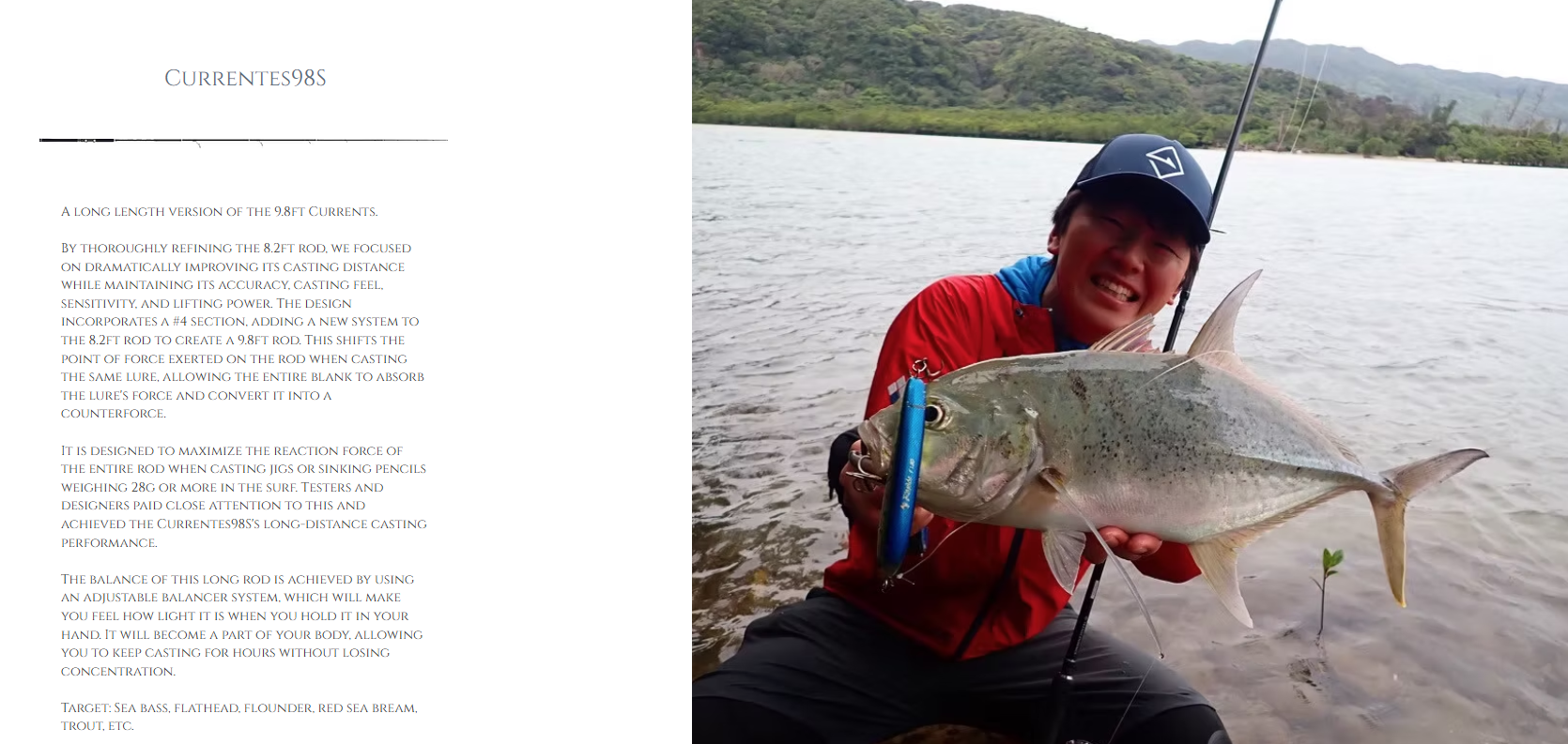 TRANSCENDENCE CURRENTES 82/98S Rev 2.0