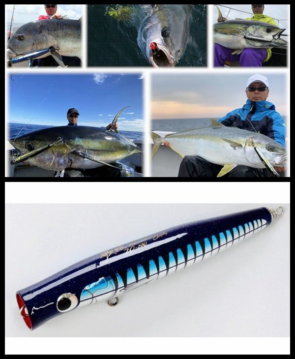 CARPENTER DIVA 歌姫 (UTAHIME) 70-190 - LAST ONE