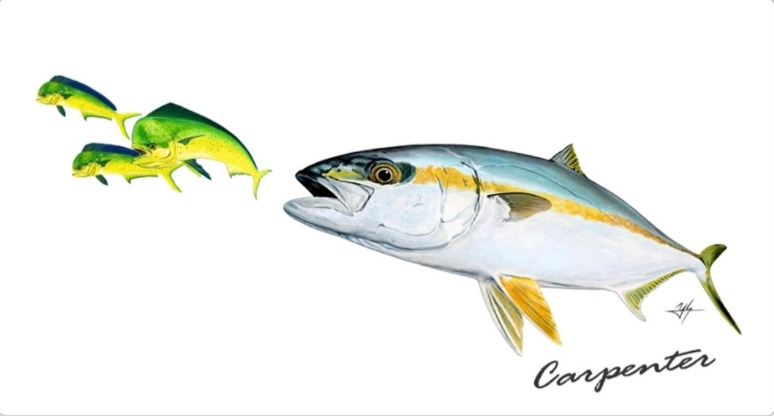 2023 Carpenter Sticker