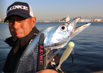 GAMAKATSU LUXXE WIND MASTER SMART PERFECT SET- PIN TAIL