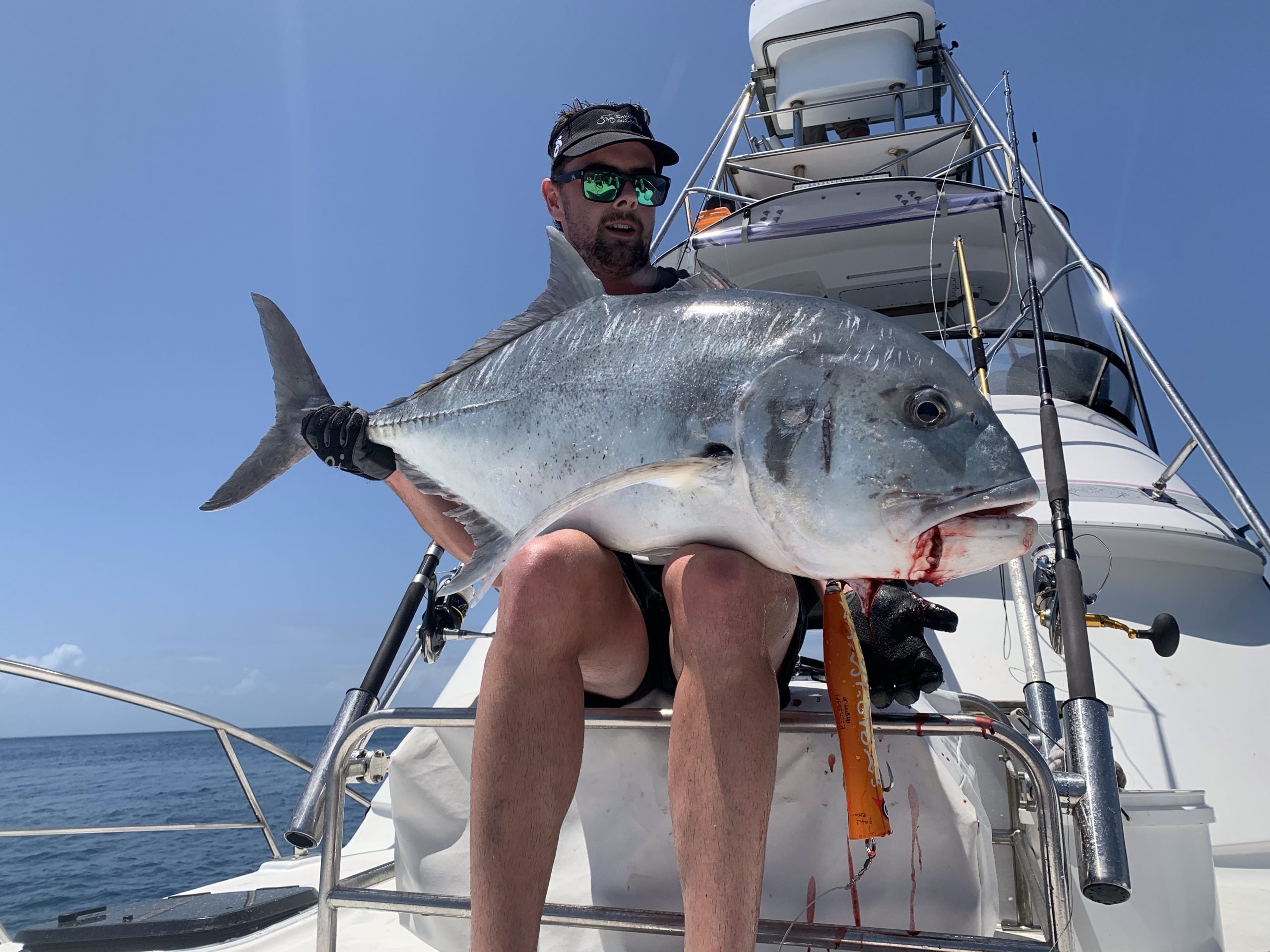 SKY GREY Koinobori Popper