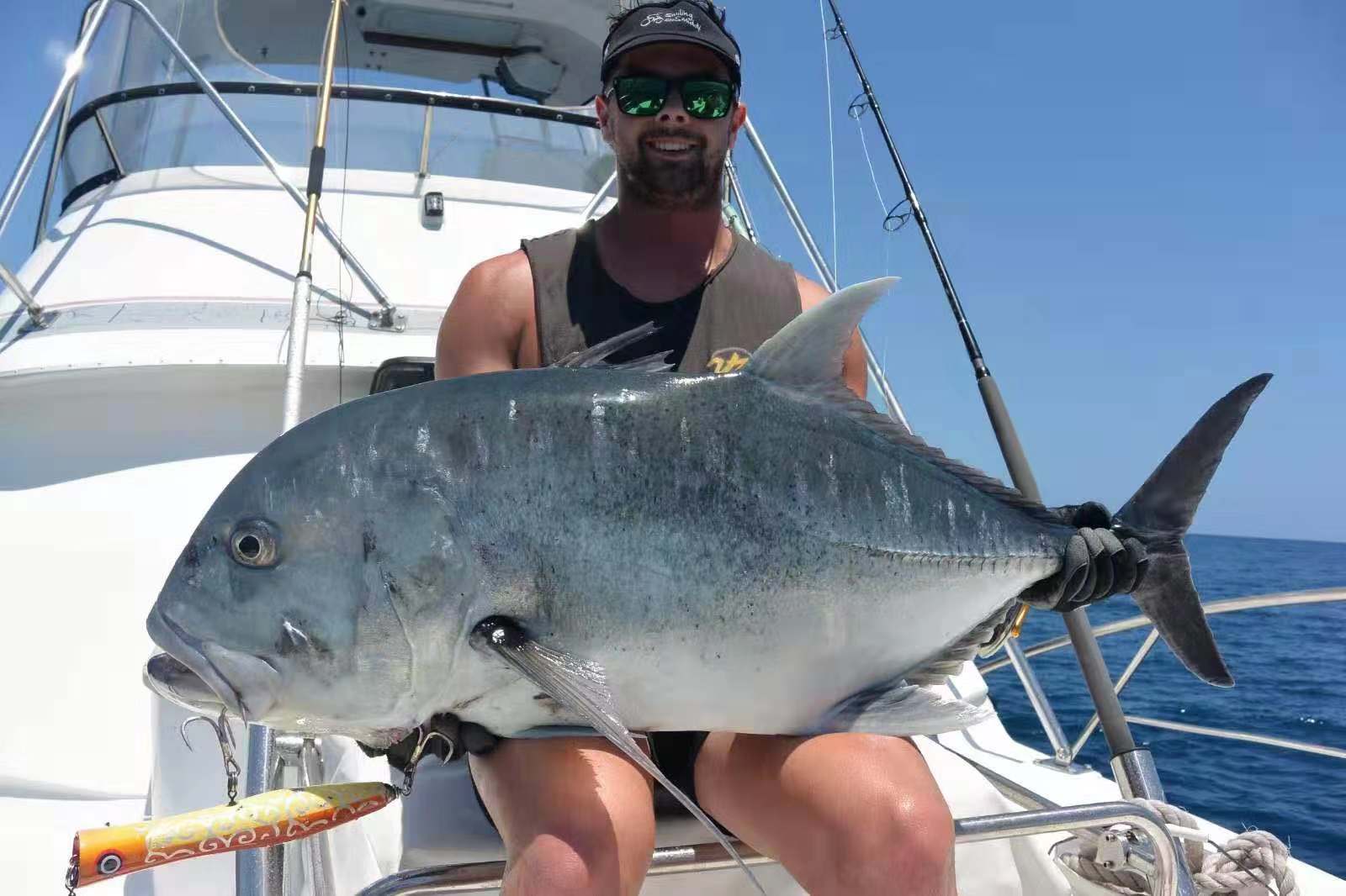 SKY GREY Koinobori Popper