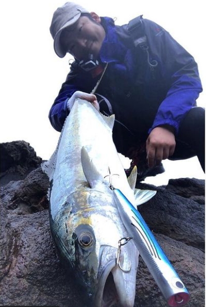 FISH TRIPPERS VILLAGE x D-CLAW BEACON 210 - Blue Saury (玄海 SANMA) back in stock