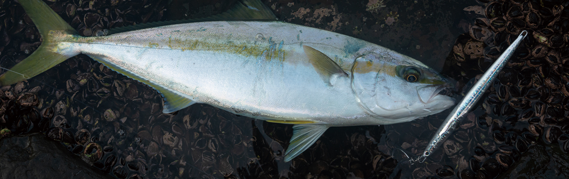 PALMS JIAGRO SUPER SLIDE JIGS - 60g