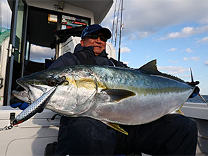 Daiwa SALTIGA ROUGH RIDE HIRAMASA TUNE 160F