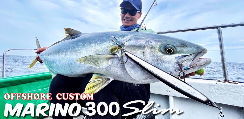 D-Claw Marino 300 Slim Floating Stickbait