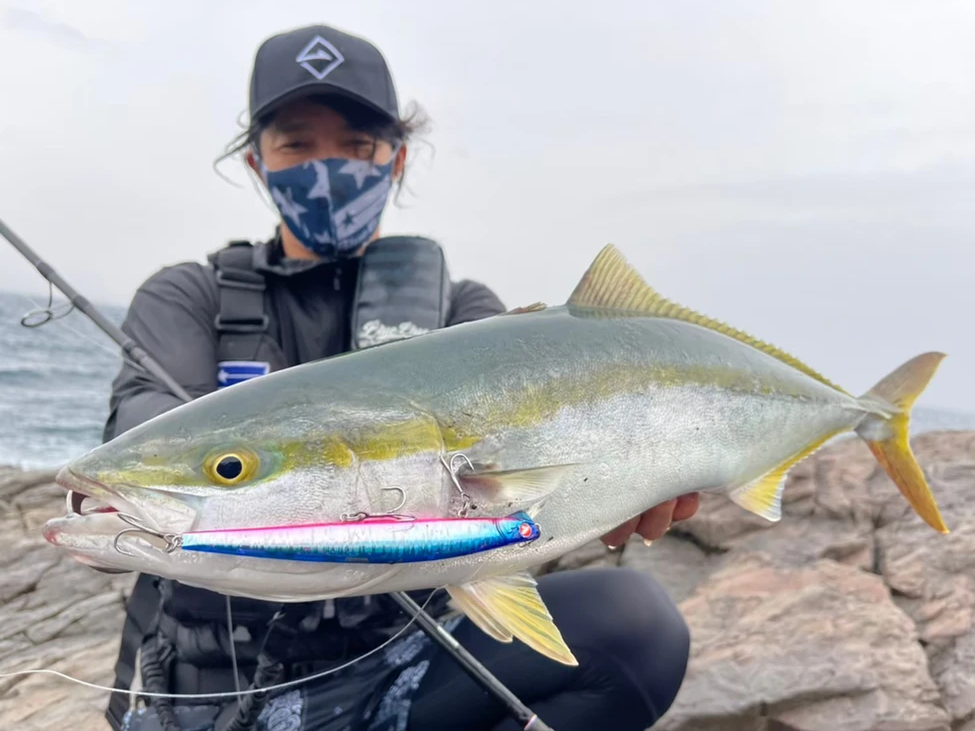 TRANSCENDENCE Empinado91S+