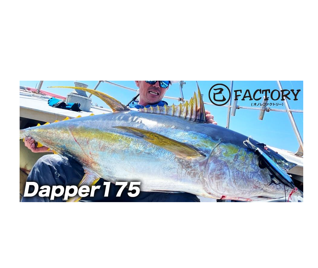 D-CLAW DAPPER 175F Stickbaits
