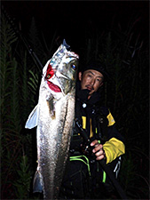 MORETHAN LAZY FASHAD J 138S Pink Belly